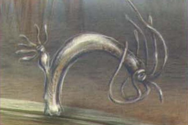 Кракен зеркало сайта