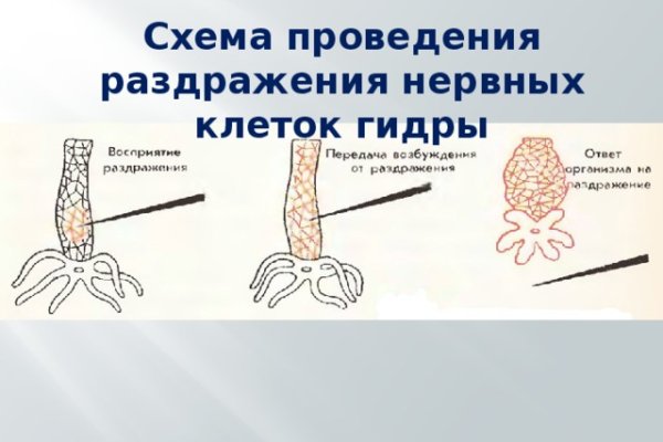 Кракен сайт kr2web in официальный ссылка