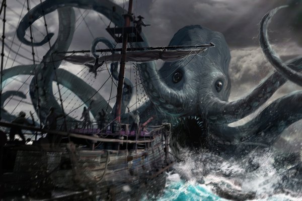 Ссылка на kraken at