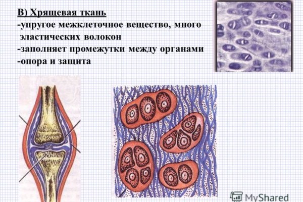 Кракен найдется все