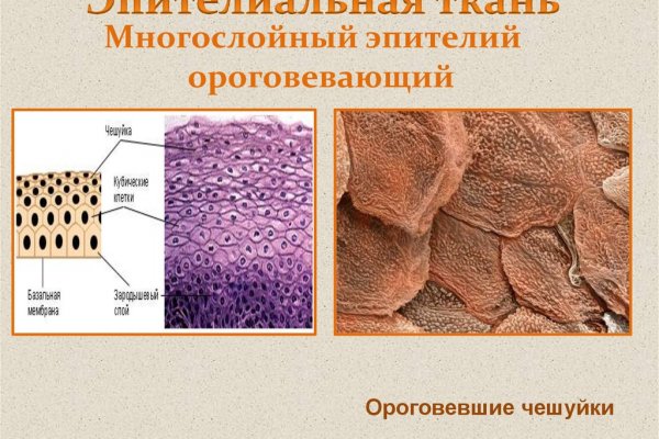 Кракен даркнет что известно